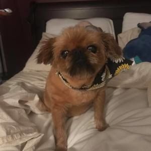 Meet your Posher, Lucia